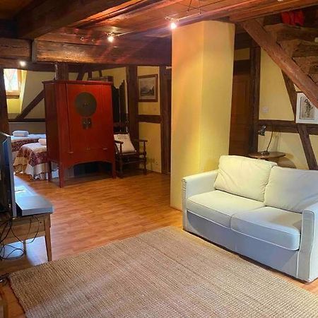 Apartmán Le Majestueux Dans Le Centre Historique Riquewihr Exteriér fotografie