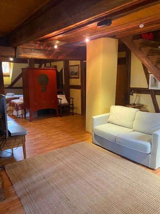Apartmán Le Majestueux Dans Le Centre Historique Riquewihr Exteriér fotografie